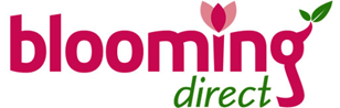 Blooming-Direct logo