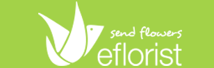 eFlorist-UK logo